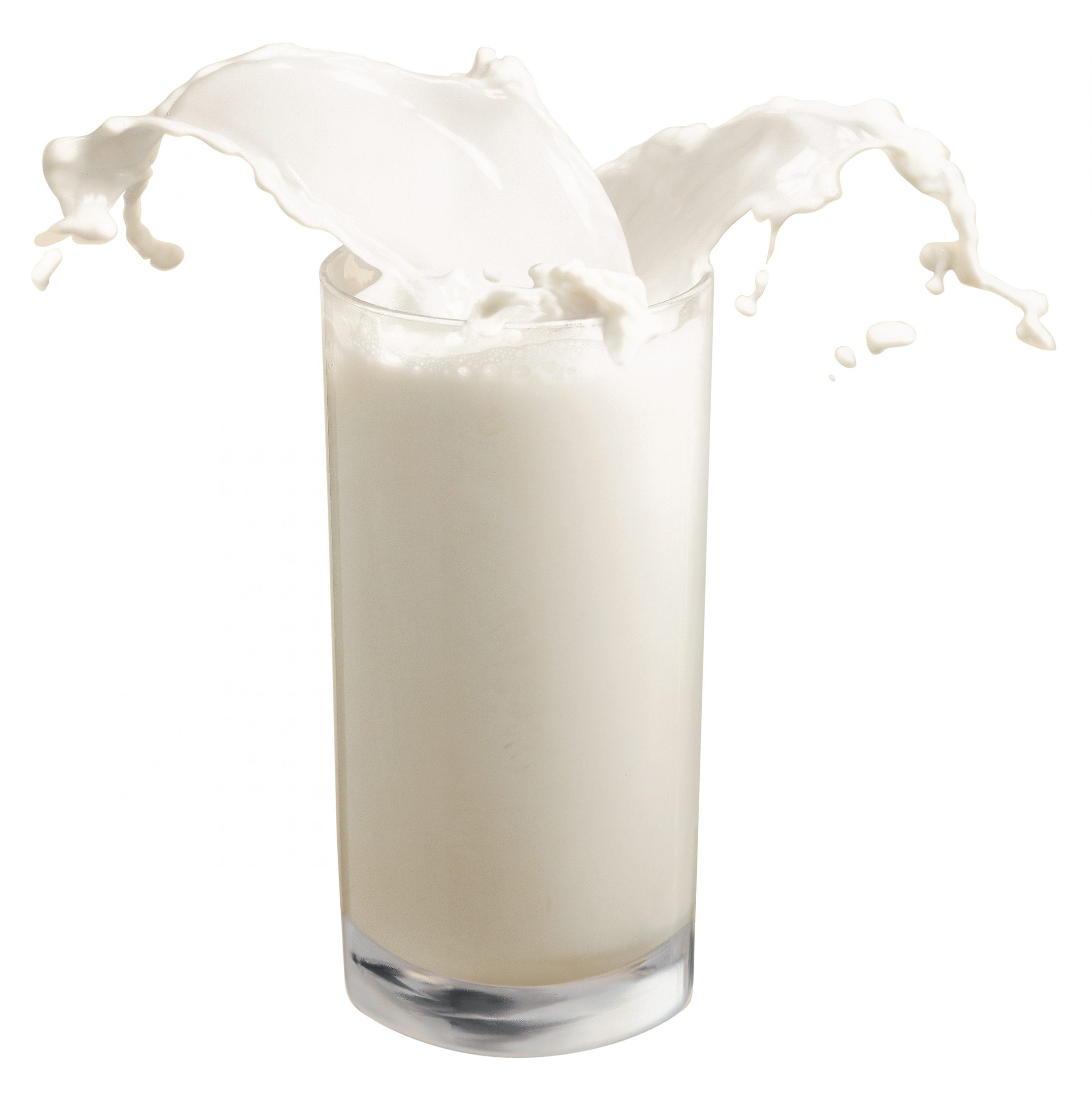 Cow Milk Increases Risk of Bone Fractures. 1 milk 1