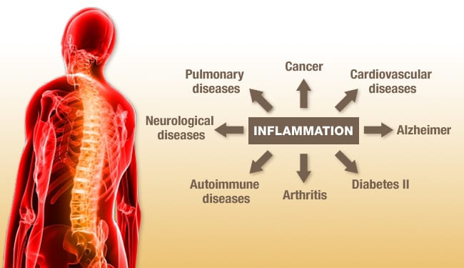 How Inflammation Is Affecting Your Body. 2 How Inflammation Is Affecting Your Body.