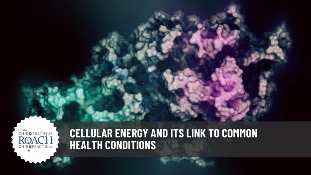 Cellular Energy and Its Link to Common Health Conditions 2 a multi-colored representation of mitochondria