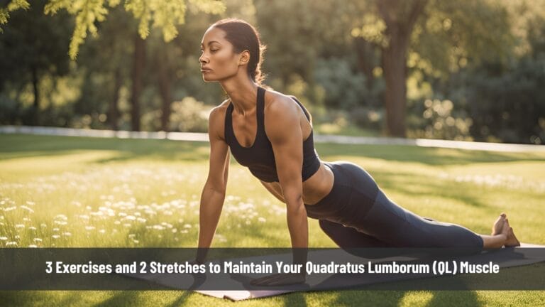 3 Exercises and 2 Stretches to Maintain Your Quadratus Lumborum (QL) Muscle 2 3 Exercises and 2 Stretches to Maintain Your Quadratus Lumborum (QL) Muscle