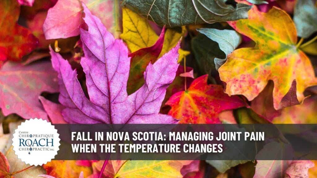 Fall in Nova Scotia: Managing Joint Pain When the Temperature Changes 2 a collage of multi-colored leaves, signifying the fall/autumn season
