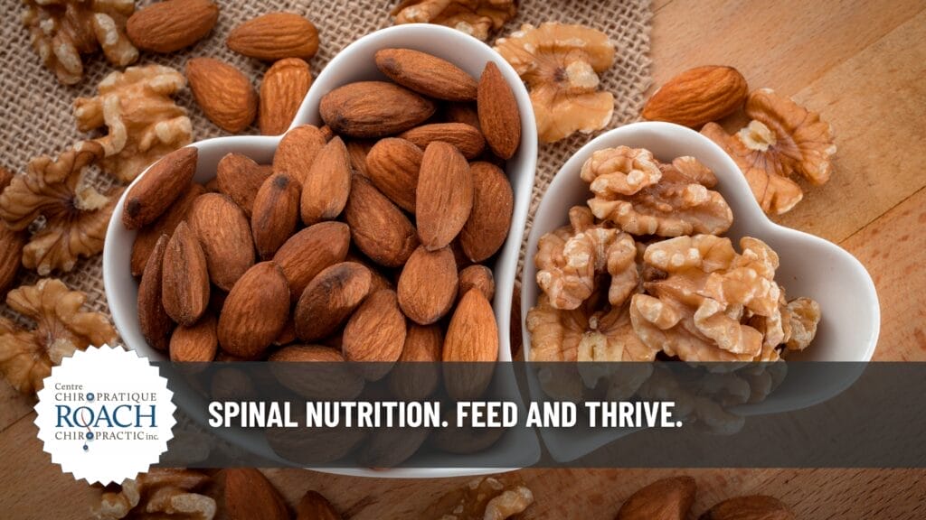 Spinal Nutrition. Feed and Thrive. 2 almonds and walnuts in heart shaped bowls